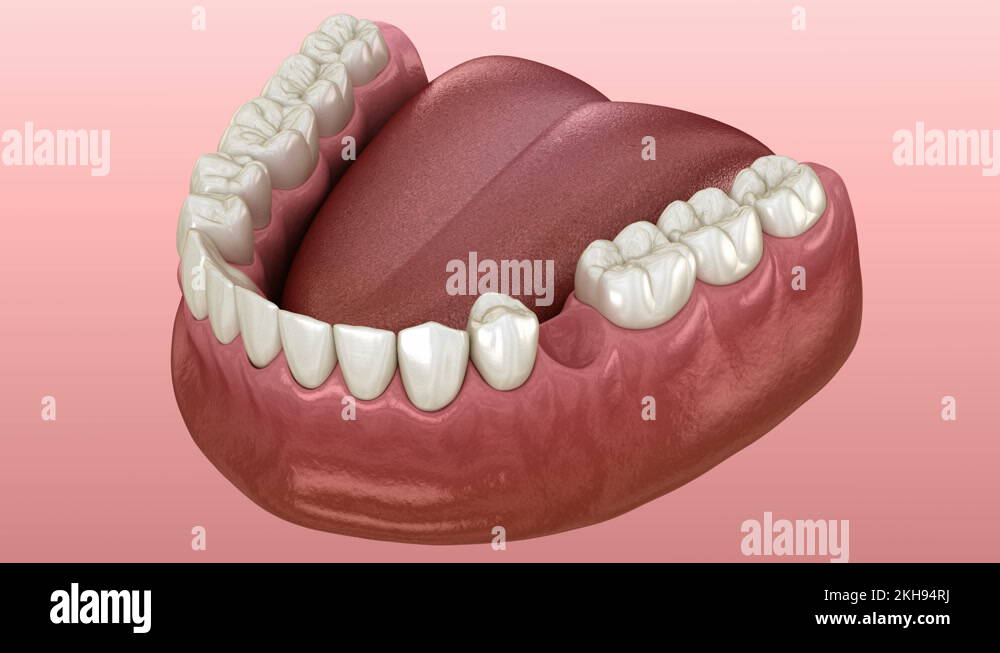 Maryland bridge Stock Videos & Footage HD and 4K Video Clips Alamy