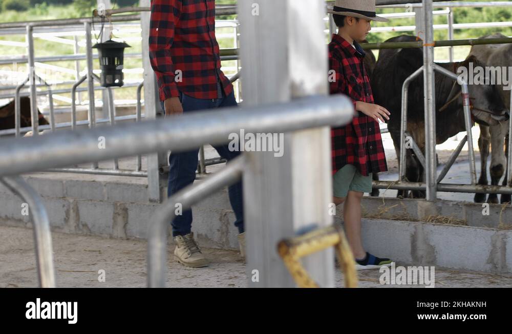 Man father son ranch Stock Videos & Footage - HD and 4K Video Clips - Alamy