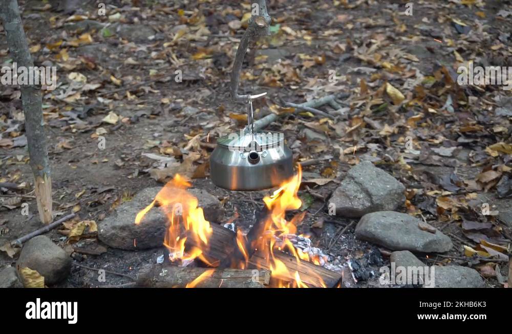 Boiling tea kettle, pot hanger over Campfire Survival Bushcraft Lean to