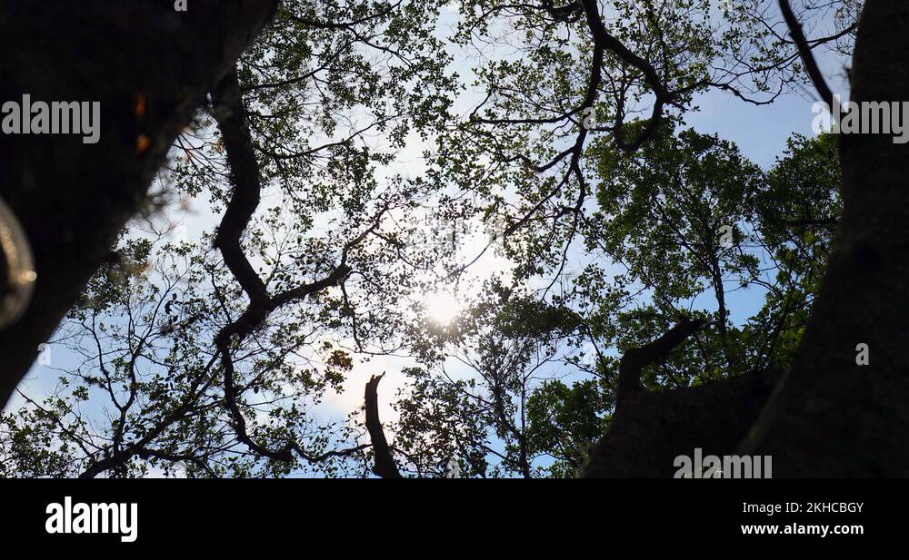 Travelscenery Stock Videos & Footage - HD and 4K Video Clips - Alamy