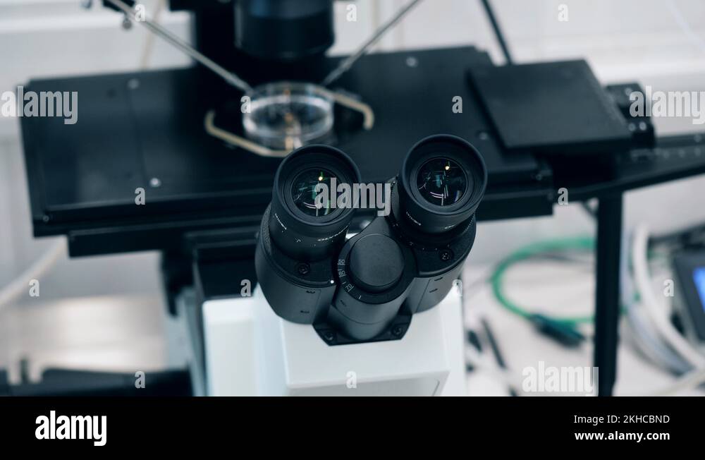 Ocular lenses of a microscope during research Stock Video Footage Alamy