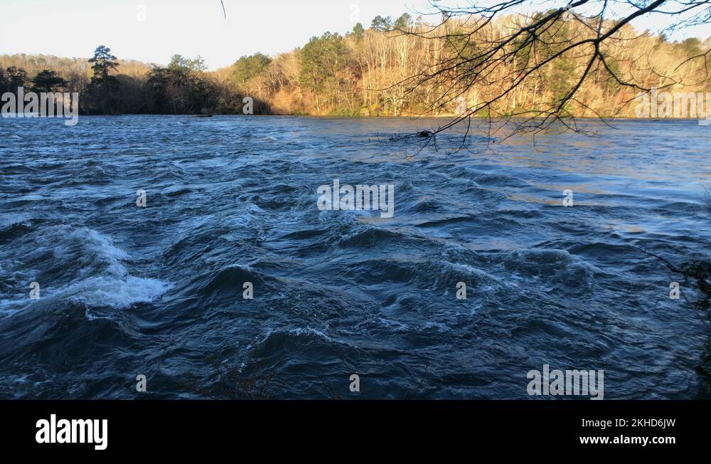 Atlanta evergreen Stock Videos & Footage HD and 4K Video Clips Alamy