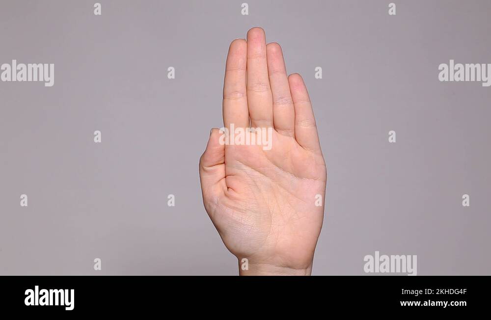Counting at fingers concept. Female hand showing 1, 2, 3, 4, 5 fingers