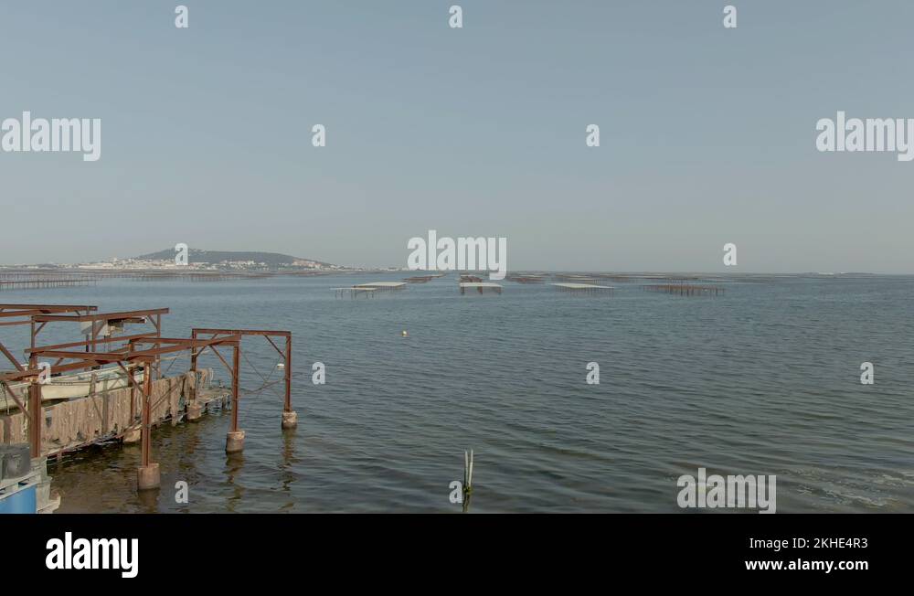 Sete oyster farming france Stock Videos & Footage HD and 4K Video