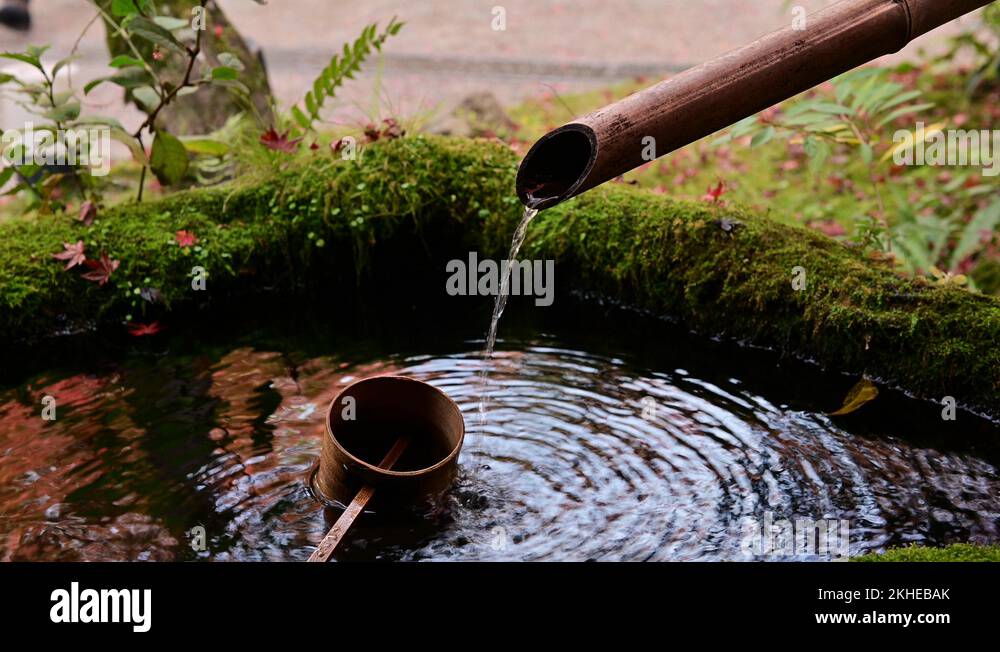 4K Leaking water from bamboo pipe in tranquil garden at japanese temple