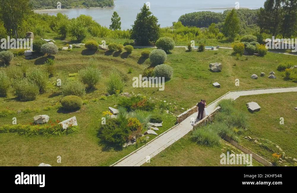 just married couple kisses on bridge in park bird eye view Stock Video