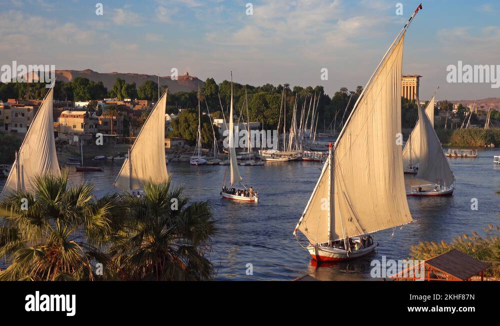 felucca boats on Nile river in Aswan Egypt Stock Video Footage - Alamy