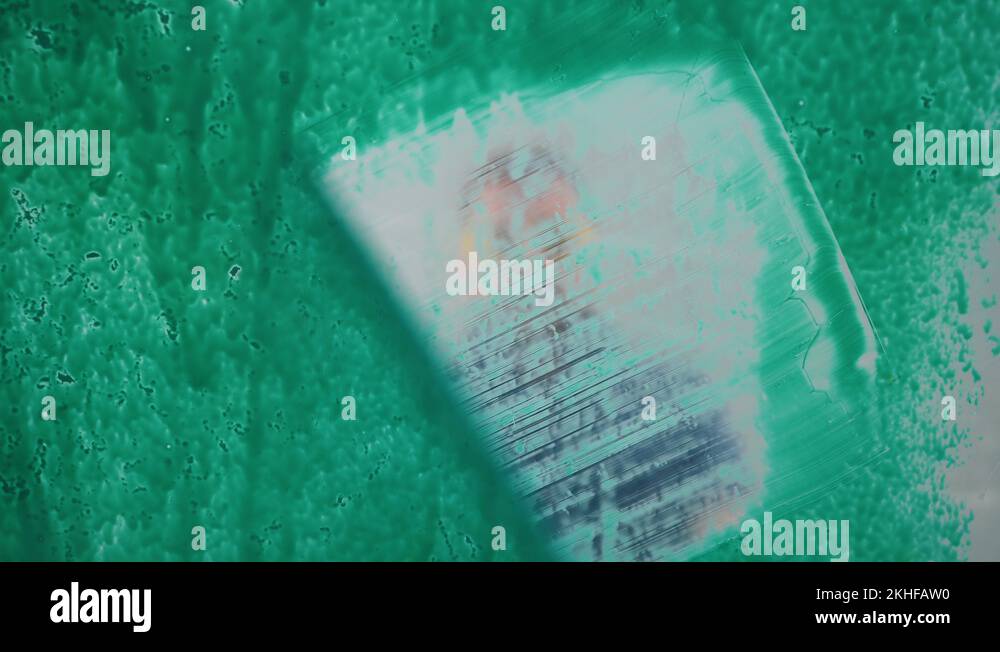 Stripper man Stock Videos & Footage HD and 4K Video Clips Alamy