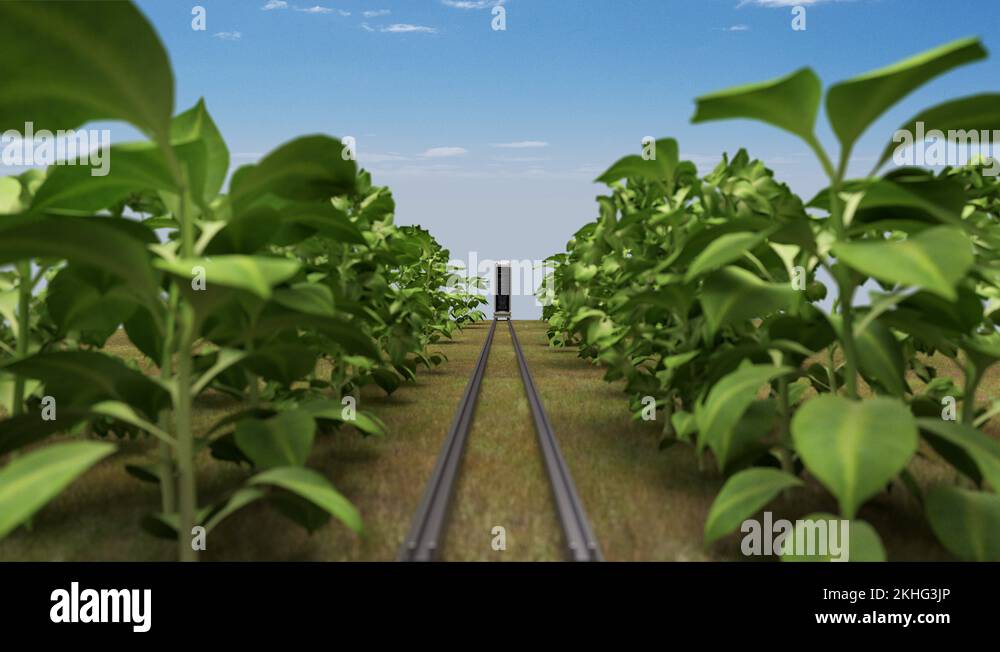 Iot in agriculture Stock Videos & Footage - HD and 4K Video Clips - Alamy