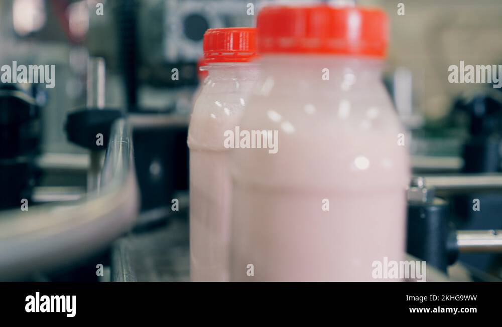 Yogurt in bottles move on a factory conveyor. Food packaging process at
