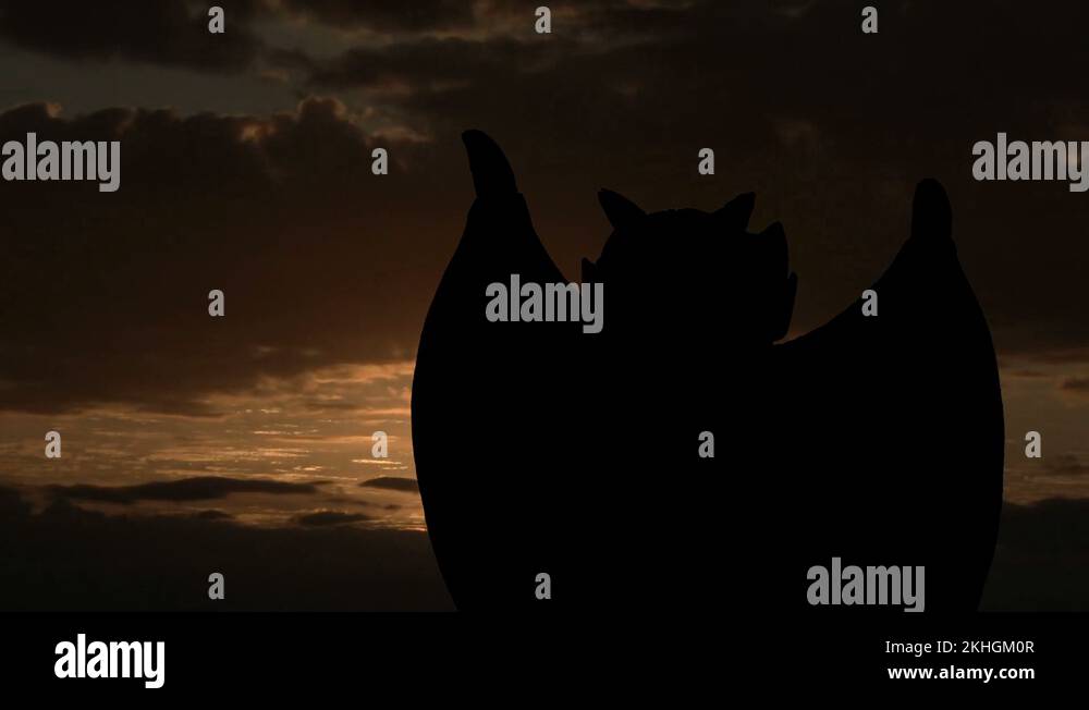 Silhouette gargoyle statue Stock Videos & Footage HD and 4K Video