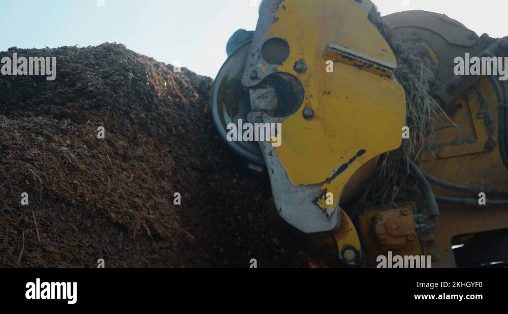Close up of tractor is mulching a corn for biologic cattle feed on a