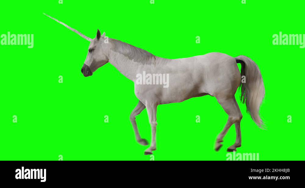 Horse Unicorn Trotting Green Screen Stock Video Footage Alamy