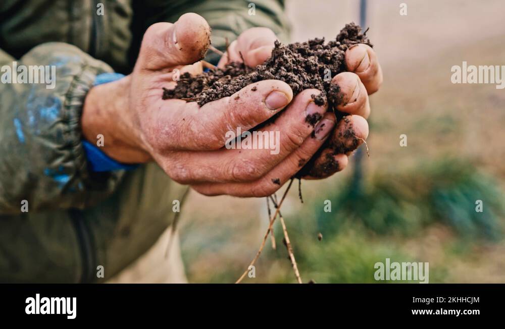 Handful of dirt Stock Videos & Footage HD and 4K Video Clips Alamy