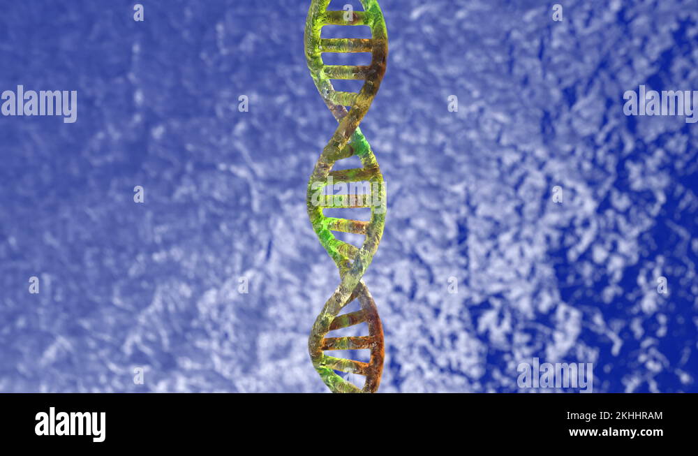 3D structural model of a DNA double helix. Isolated looped rotation of
