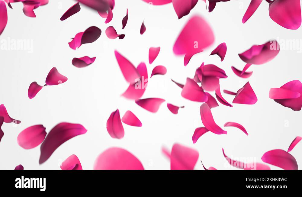 Flower petals falling down with alpha channel. 3D animation of