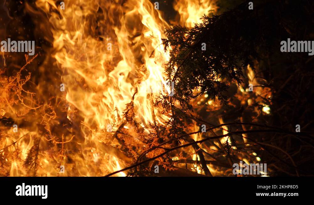 Australia Bush Fire Flames Burning Trees With Ferocity, Global Warming