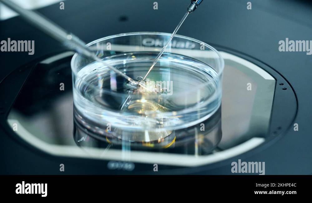 Machine cells Stock Videos & Footage - HD and 4K Video Clips - Alamy