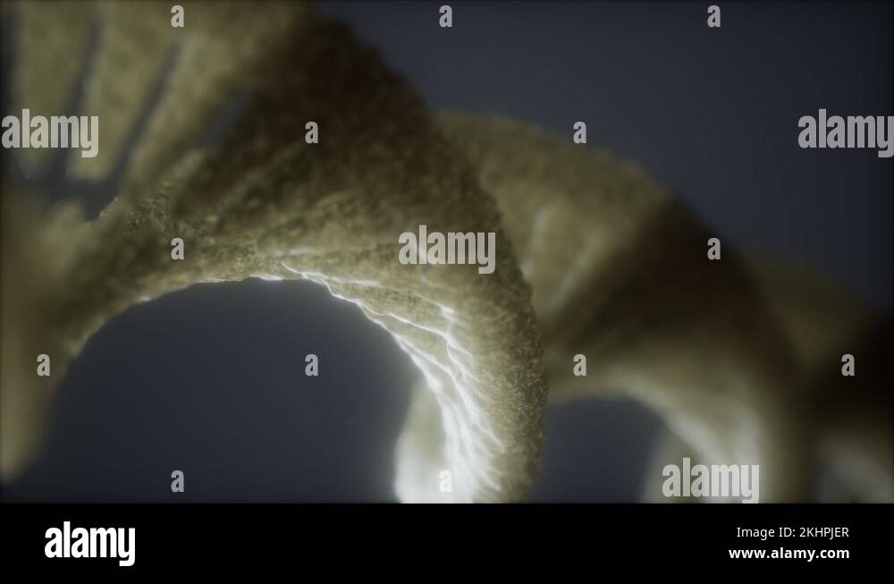 loop double helical structure of dna strand close-up animation Stock ...