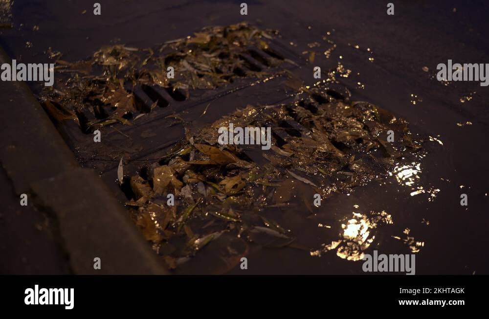 Rainy autumn night city street, rain water flows down storm drain Stock