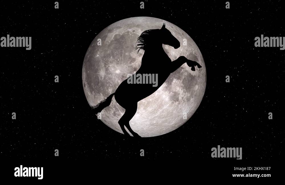 black horse prancing silhouette on full moon background loop new ...