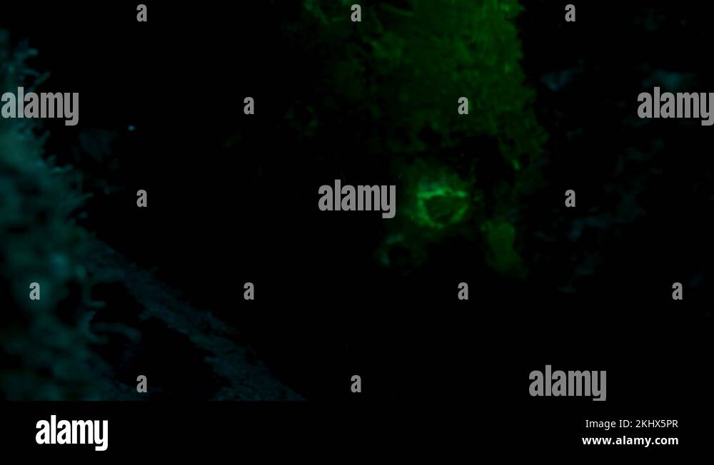 Underwater hole Stock Videos & Footage HD and 4K Video Clips Alamy