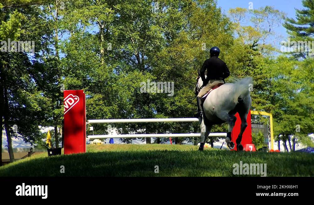 Black male riding horse Stock Videos & Footage - HD and 4K Video Clips ...
