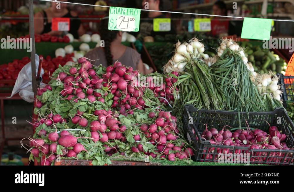 Mexican agricultural products Stock Videos & Footage - HD and 4K Video ...