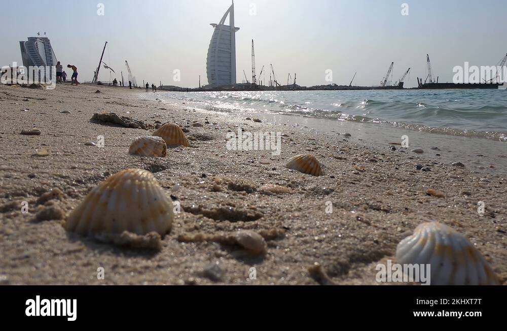The construction of clams Stock Videos & Footage - HD and 4K Video ...
