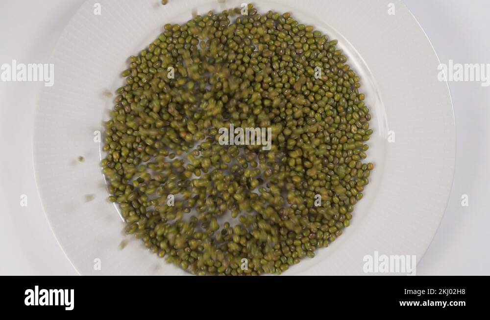 White pea bean Stock Videos & Footage HD and 4K Video Clips Alamy