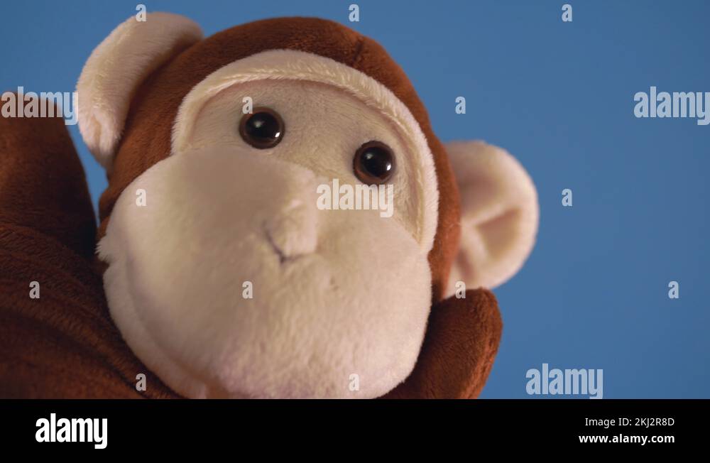 Hand puppet show Stock Videos & Footage HD and 4K Video Clips Alamy