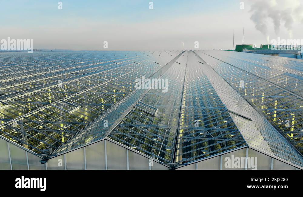 Orangery and glasshouse Stock Videos & Footage HD and 4K Video Clips