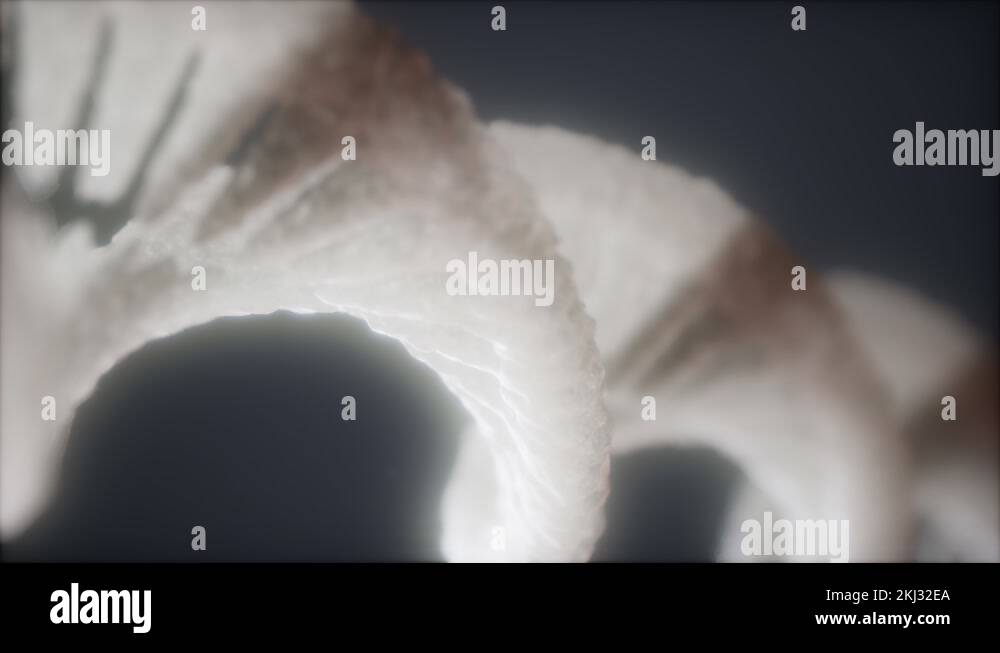 loop double helical structure of dna strand close-up animation Stock ...