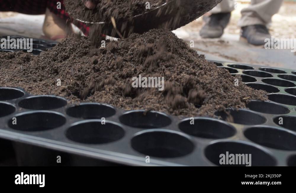 Rich soils Stock Videos Footage HD and 4K Video Clips Alamy Rich soils Stock Videos Footage HD and 4K Video Clips Alamy