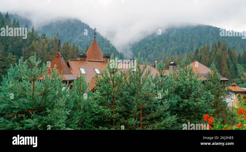 Process of water evaporation in forests. Landscape with water