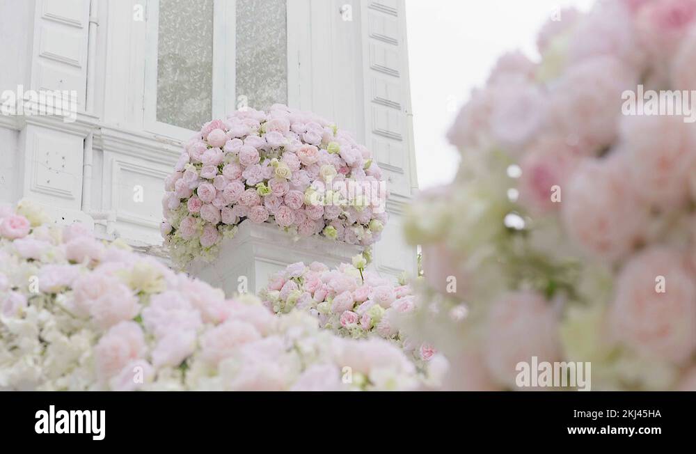 White building flowers Stock Videos & Footage - HD and 4K Video Clips ...