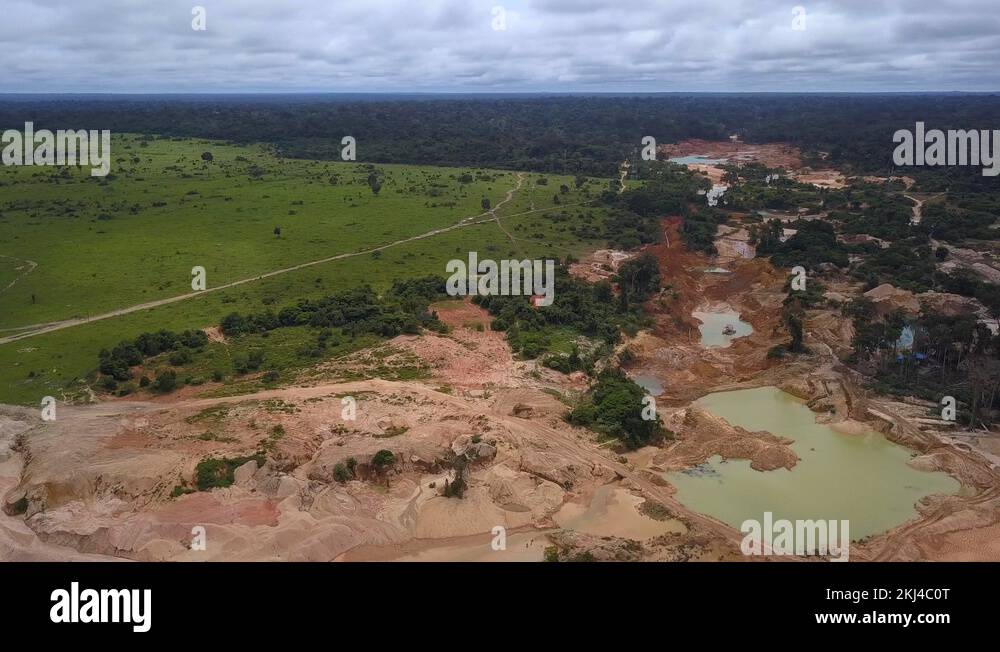 Drone aerial view of illegal gold mining deforestation in the Amazon ...