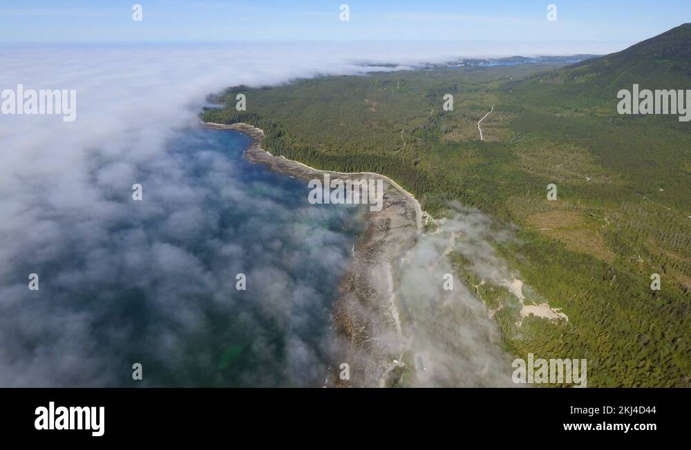 Mussel Beach Ucluelet West Coast Vancouver Island Stock Video Footage