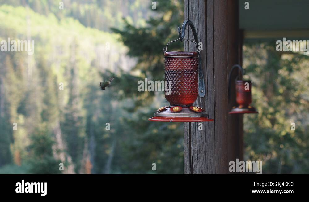 Two hummingbird feeders being used by hummingbirds, on a cabin deck in