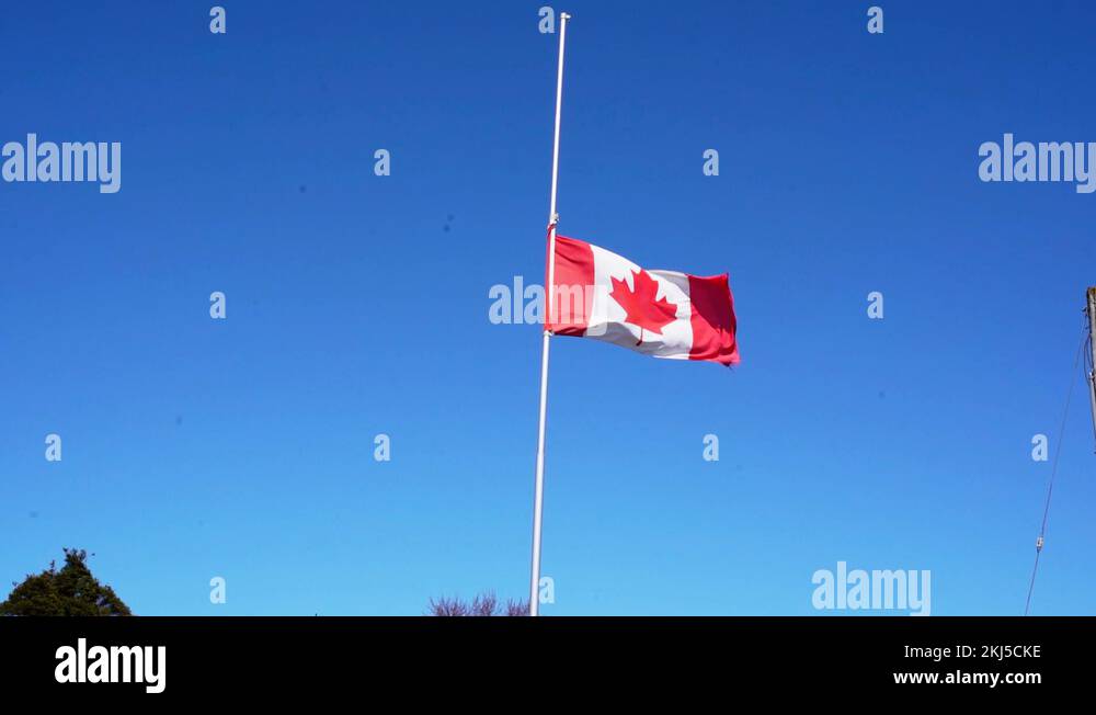 Canada half mast Stock Videos & Footage HD and 4K Video Clips Alamy