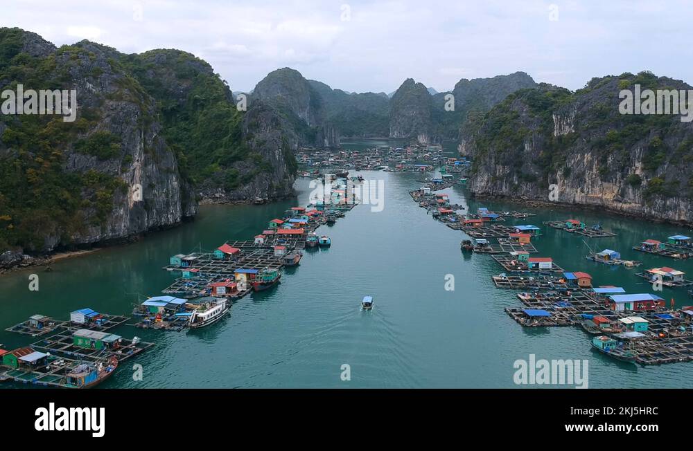 Vung vieng Stock Videos & Footage - HD and 4K Video Clips - Alamy