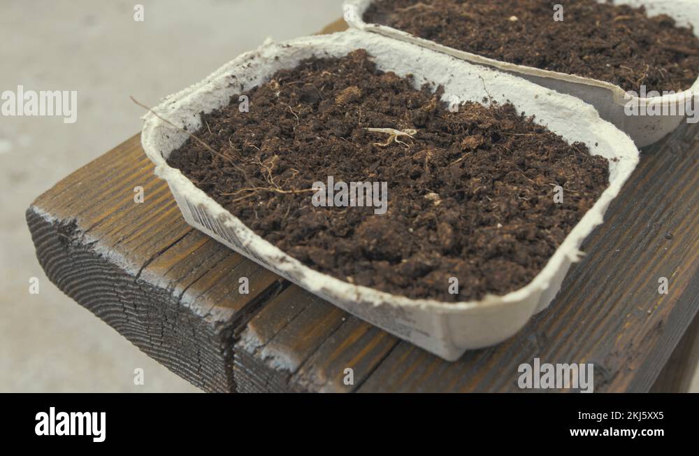 Egg plant seed Stock Videos & Footage HD and 4K Video Clips Alamy