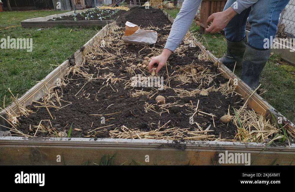 Soil test home garden Stock Videos & Footage HD and 4K Video Clips