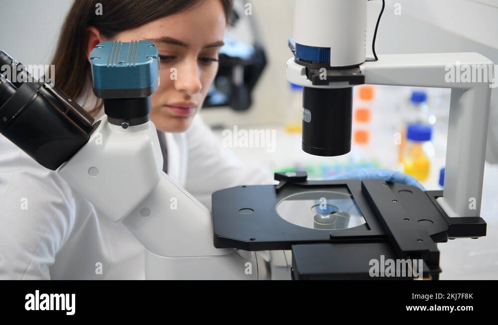 Scientist viewing cells multi well plate under microscope laboratory