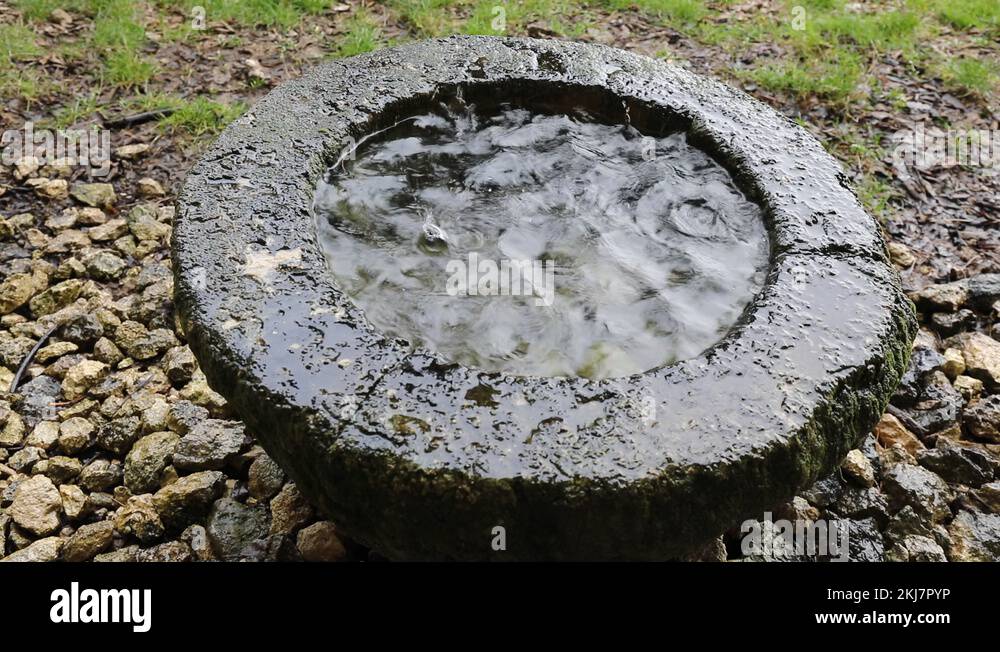 Basin dug Stock Videos & Footage - HD and 4K Video Clips - Alamy