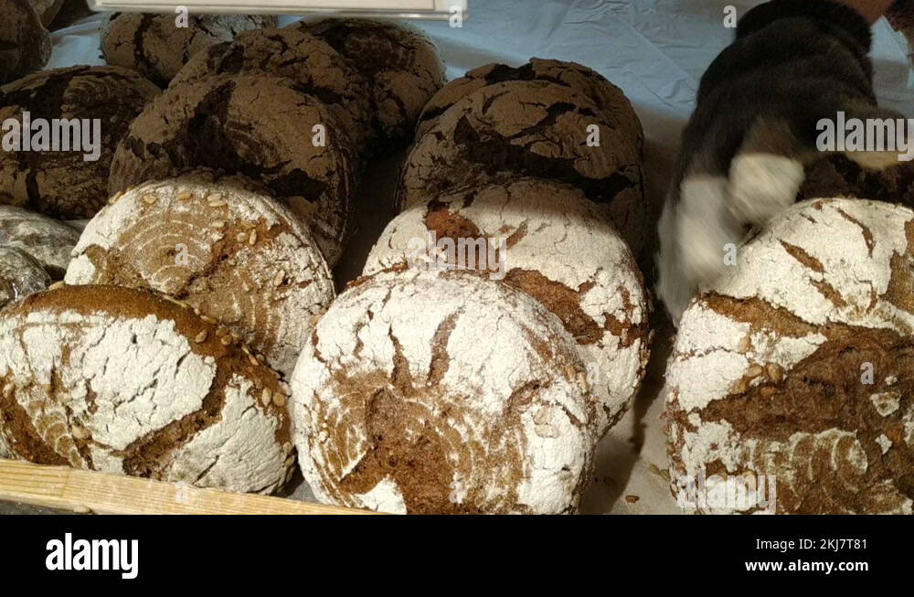 Baker plan Stock Videos & Footage HD and 4K Video Clips Alamy