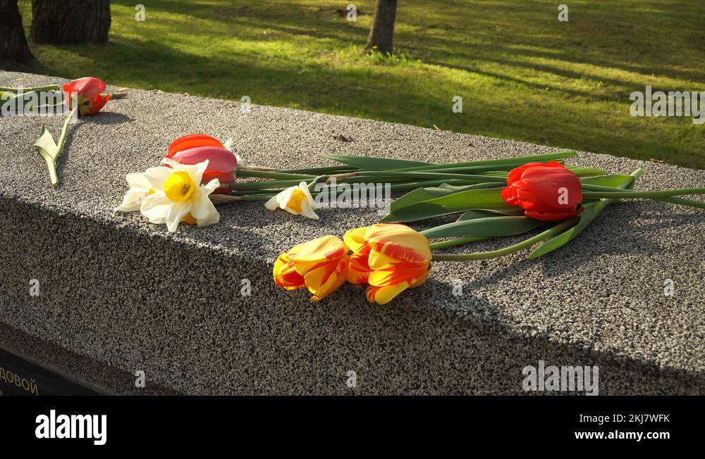 Flowers in the World War II soldiers Brethren Cemetery Stock Video ...