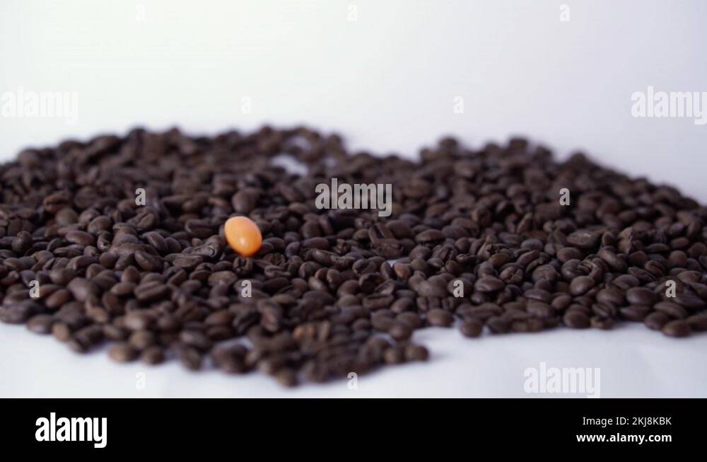 Jelly bean plant Stock Videos & Footage HD and 4K Video Clips Alamy