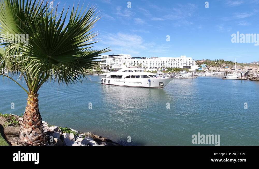 LOS CABOS MEXICO2019 View From Shore Of Palm Tree Body Of Water And