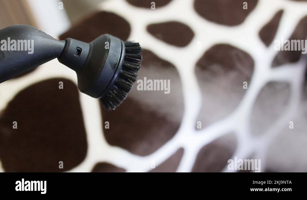 house cleaning, disinfection of upholstered furniture with a steam